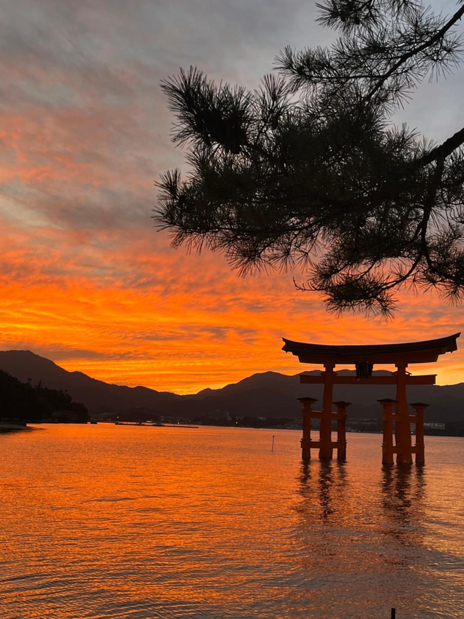 宮島 町家宿 進龍庵 ฮัทสึไคชิ ภายนอก รูปภาพ