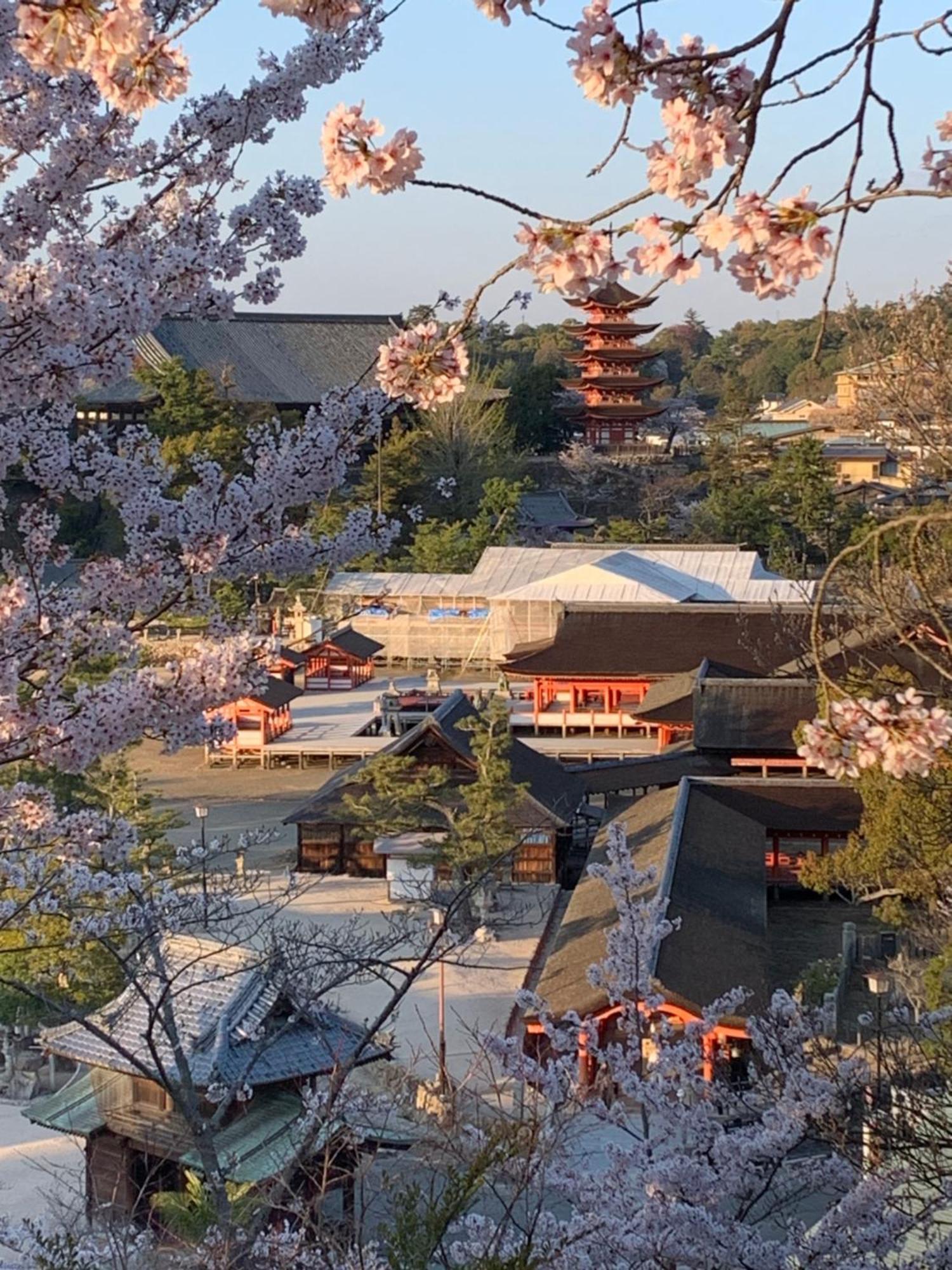 宮島 町家宿 進龍庵 ฮัทสึไคชิ ภายนอก รูปภาพ